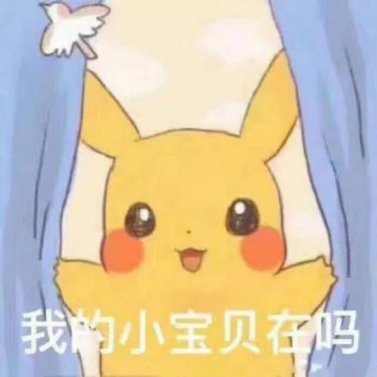 Zach35 报名时间:2024-08-11 14:11