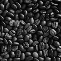 七号 报名时间:2018-02-27 13:20