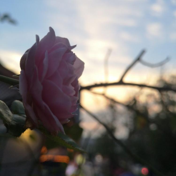 独白 报名时间:2019-02-18 18:32