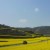 嗨哥 报名时间:2018-01-27 14:07 嗨哥 报名时间:2018-01-27 14:07