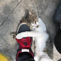 mark 报名时间:2019-05-28 18:01