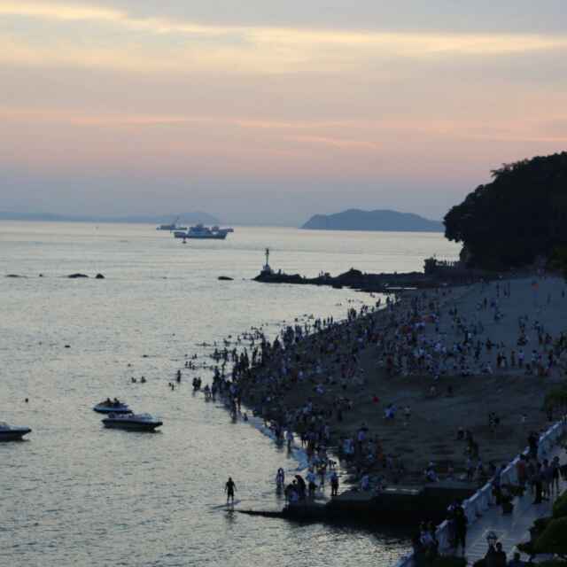 刘青建 报名时间:2023-09-20 12:02