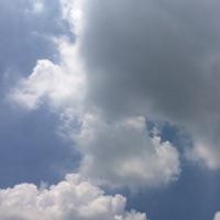 船桨 报名时间:2025-05-24 14:07