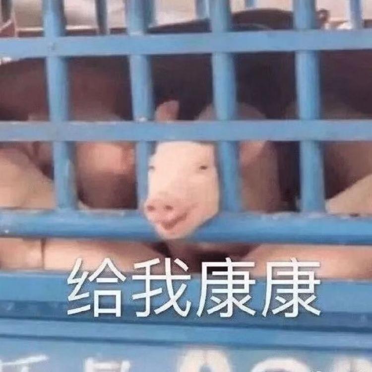 冯康 报名时间:2019-12-23 09:58