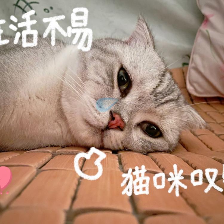 小麻 报名时间:2021-12-22 10:14