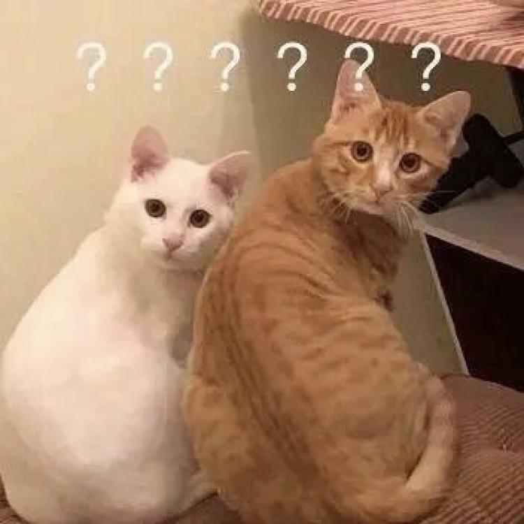 梅梅MM 报名时间:2020-01-06 14:39