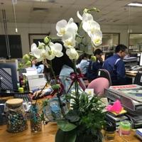 金金 报名时间:2019-07-25 08:22