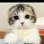 夏天堆雪人 报名时间:2020-04-10 10:14 夏天堆雪人 报名时间:2020-04-10 10:14