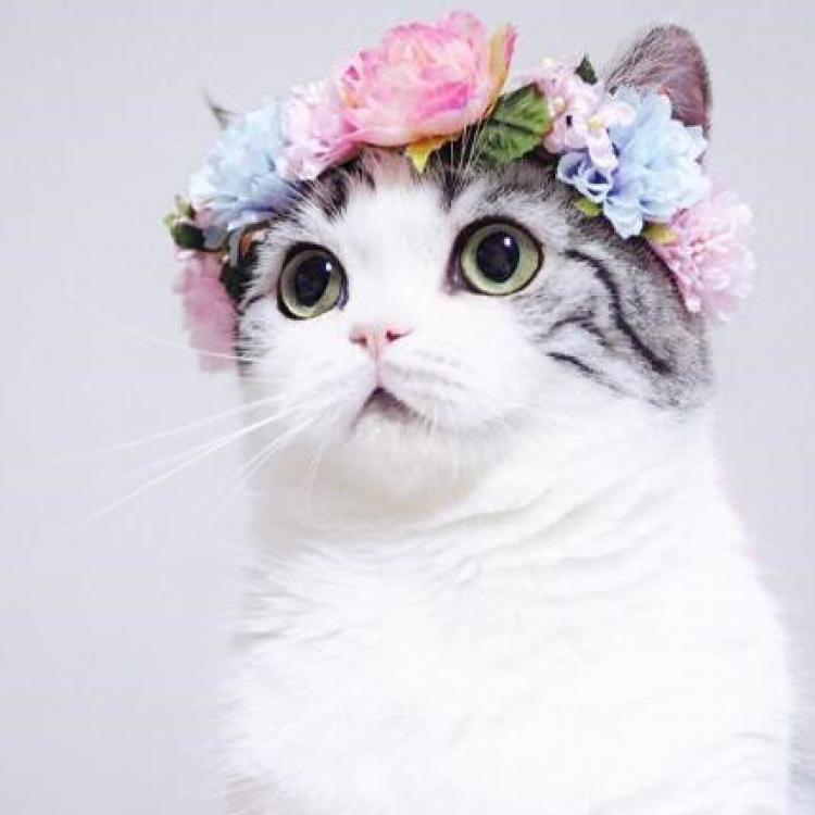 冰心 报名时间:2019-09-26 12:31