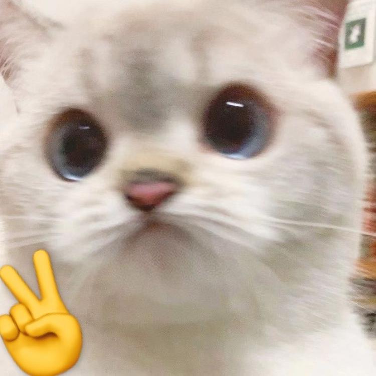 里奥🍪 报名时间:2023-01-09 14:53