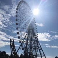 灿 报名时间:2021-12-03 16:32
