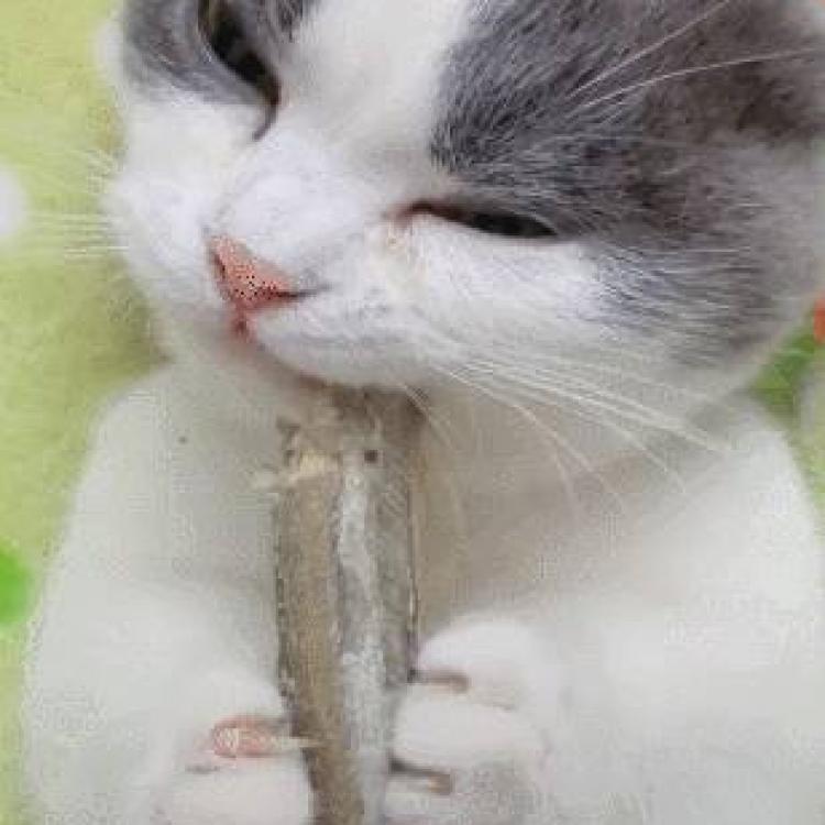 清绝 报名时间:2019-10-09 17:16