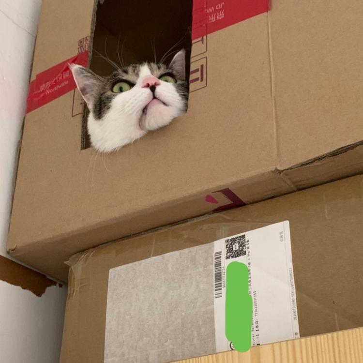 手感好 报名时间:2020-01-04 13:16