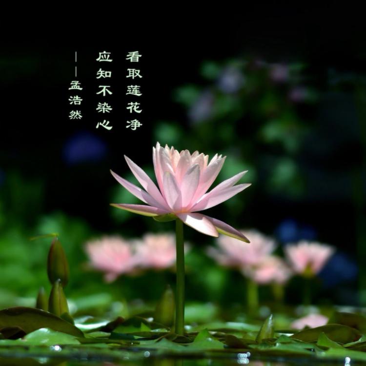 朋序 报名时间:2020-01-18 15:12