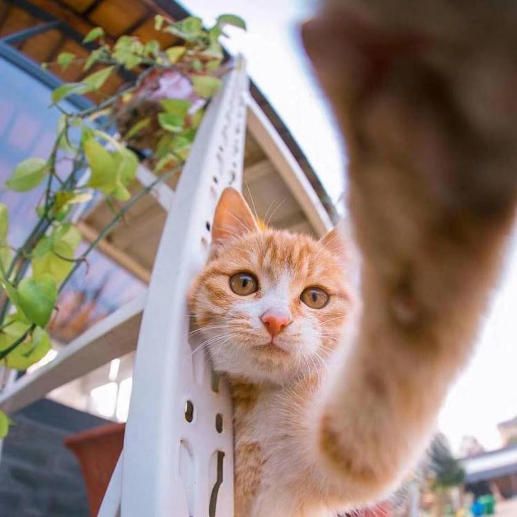 陈想 报名时间:2019-05-28 15:06