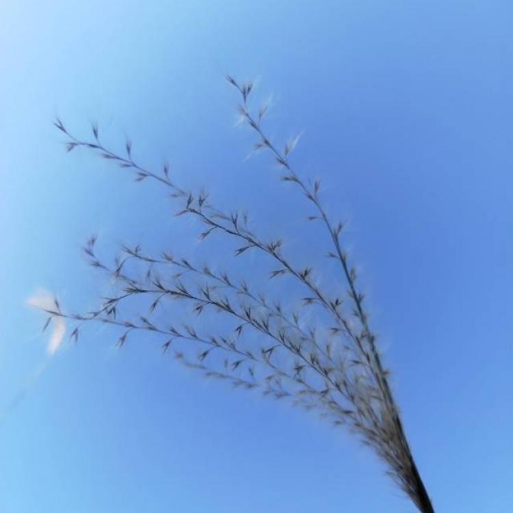微光 报名时间:2022-10-01 12:20 微光 报名时间:2022-10-01 12:20
