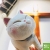 小刺猬 报名时间：2019-09-09 12:38