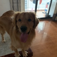 王凯 报名时间:2020-11-20 13:21