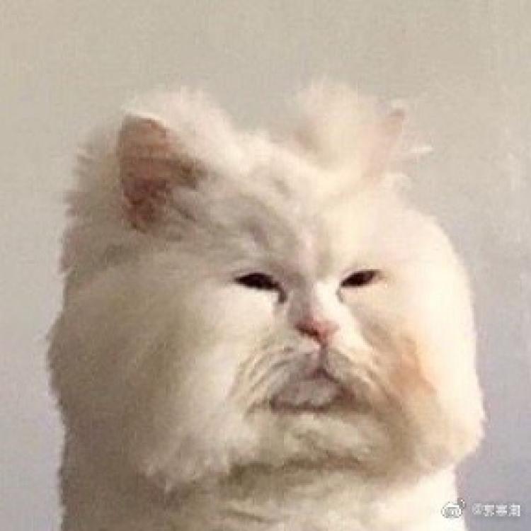原小圆 报名时间:2019-12-15 09:06